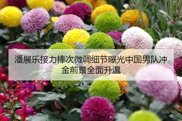 潘展乐接力棒次微调细节曝光中国男队冲金前景全面升温
